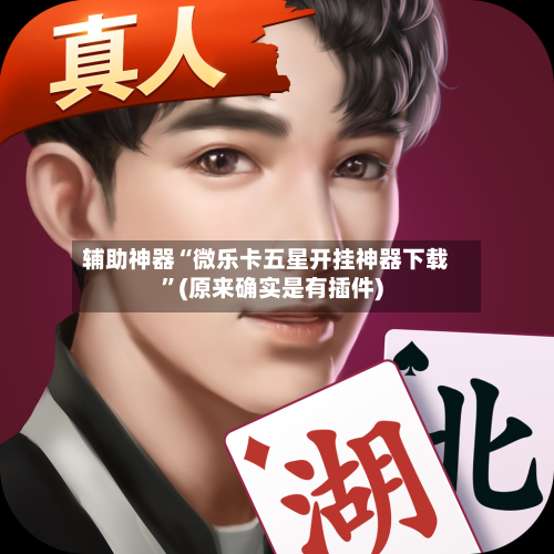 辅助神器“微乐卡五星开挂神器下载”(原来确实是有插件)-第1张图片