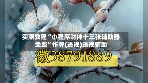 实测教程“小程序财神十三张辅助器免费”作弊(透视)透视辅助-第1张图片