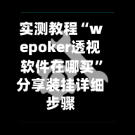 实测教程“wepoker透视软件在哪买	”分享装挂详细步骤-第1张图片
