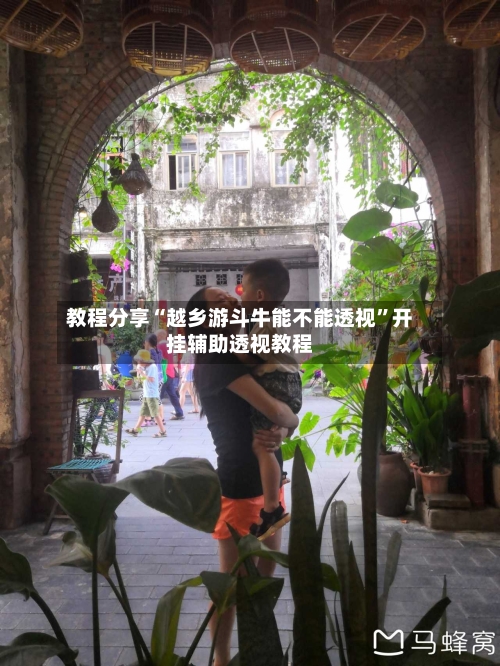 教程分享“越乡游斗牛能不能透视”开挂辅助透视教程-第1张图片