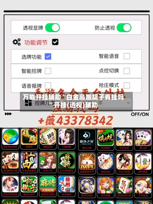 万能开挂辅助“白金岛跑胡子有挂吗”开挂(透视)辅助-第1张图片