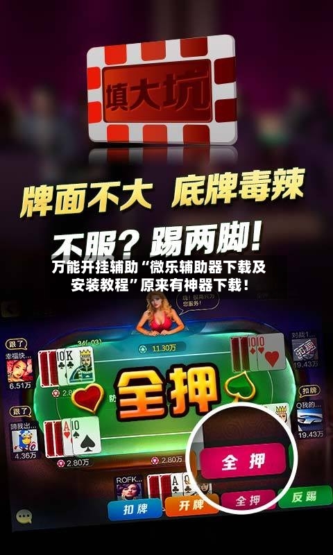 万能开挂辅助“微乐辅助器下载及安装教程”原来有神器下载！-第1张图片