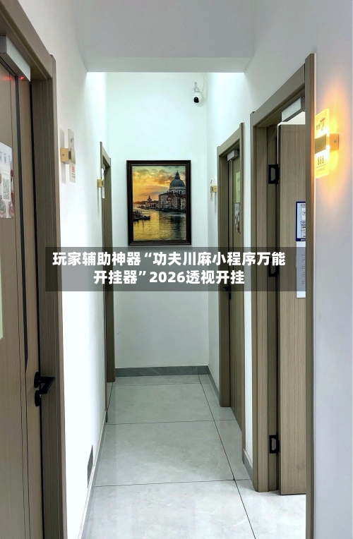 玩家辅助神器“功夫川麻小程序万能开挂器”2026透视开挂-第1张图片