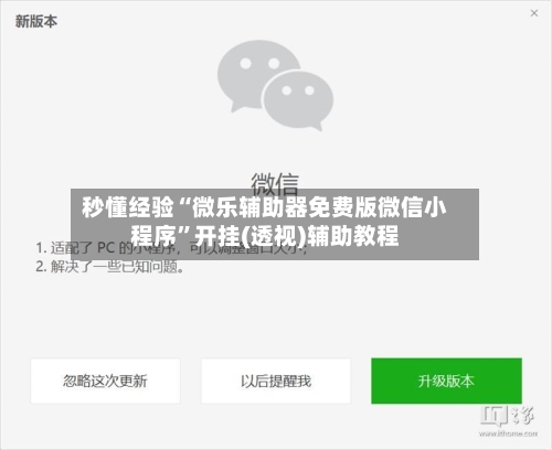 秒懂经验“微乐辅助器免费版微信小程序”开挂(透视)辅助教程-第1张图片