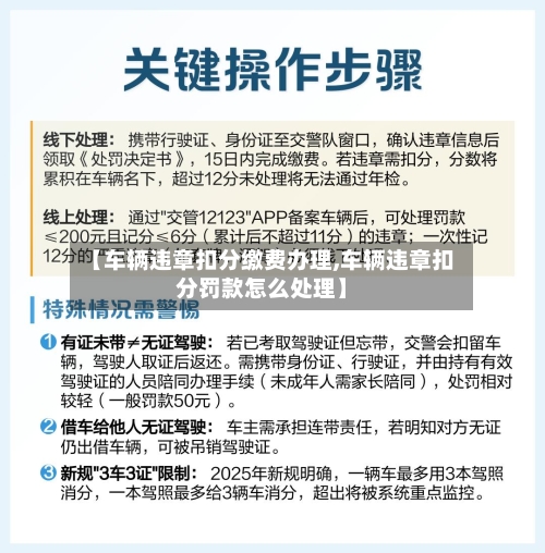 【车辆违章扣分缴费办理,车辆违章扣分罚款怎么处理】-第1张图片