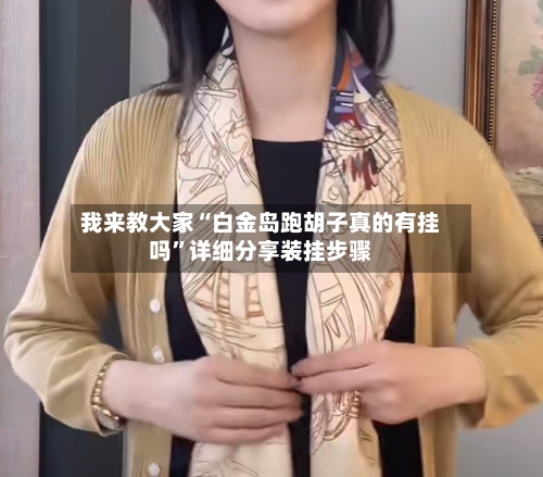 我来教大家“白金岛跑胡子真的有挂吗	”详细分享装挂步骤-第1张图片