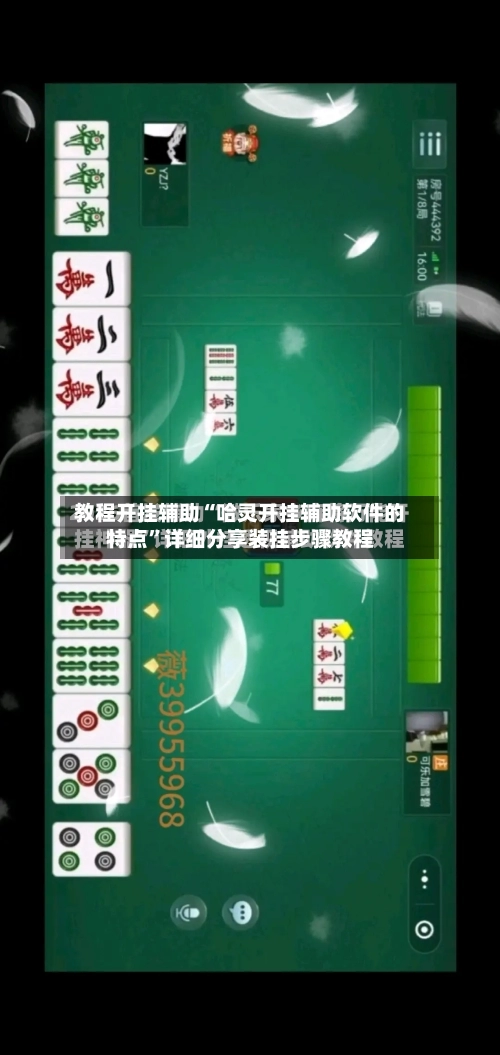 教程开挂辅助“哈灵开挂辅助软件的特点	”详细分享装挂步骤教程-第1张图片