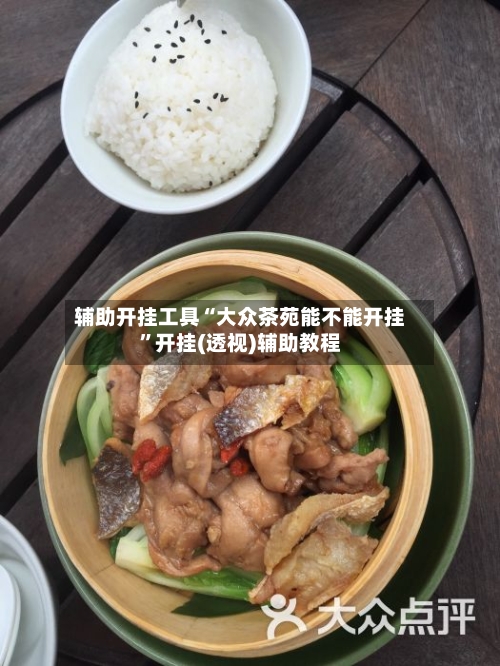 辅助开挂工具“大众茶苑能不能开挂”开挂(透视)辅助教程-第1张图片