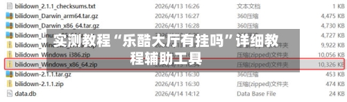 实测教程“乐酷大厅有挂吗”详细教程辅助工具-第1张图片