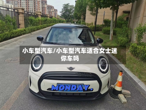 小车型汽车/小车型汽车适合女士迷你车吗-第1张图片