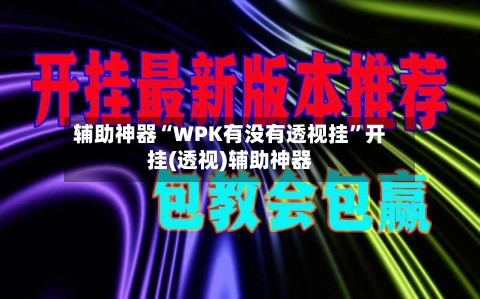 辅助神器“WPK有没有透视挂”开挂(透视)辅助神器-第1张图片