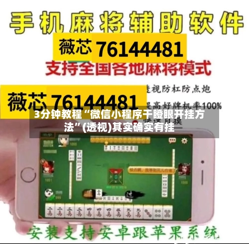 3分钟教程“微信小程序干瞪眼开挂方法”(透视)其实确实有挂-第1张图片