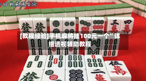 [教程经验]手机麻将挂100元一个”详细透视辅助教程-第1张图片