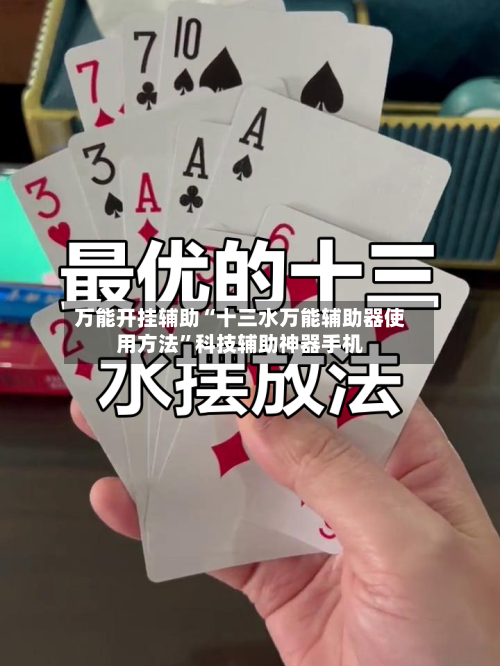 万能开挂辅助“十三水万能辅助器使用方法	”科技辅助神器手机-第1张图片