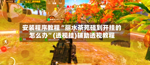 安装程序教程“丽水茶苑碰到开挂的怎么办	”(透视挂)辅助透视教程-第1张图片