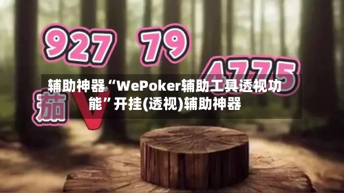 辅助神器“WePoker辅助工具透视功能	”开挂(透视)辅助神器-第1张图片