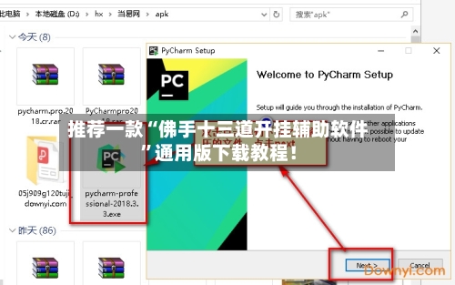 推荐一款“佛手十三道开挂辅助软件”通用版下载教程！-第1张图片
