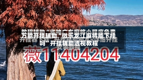 万能开挂辅助“微乐龙江麻将能下挂吗	”开挂辅助透视教程-第1张图片