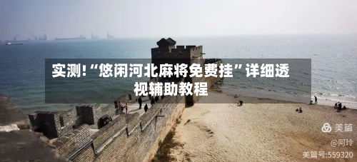 实测!“悠闲河北麻将免费挂”详细透视辅助教程-第1张图片