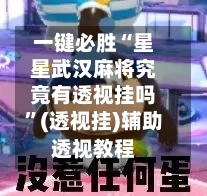 一键必胜“星星武汉麻将究竟有透视挂吗”(透视挂)辅助透视教程-第1张图片