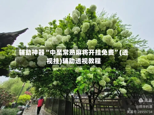 辅助神器“中至常熟麻将开挂免费	”(透视挂)辅助透视教程-第1张图片