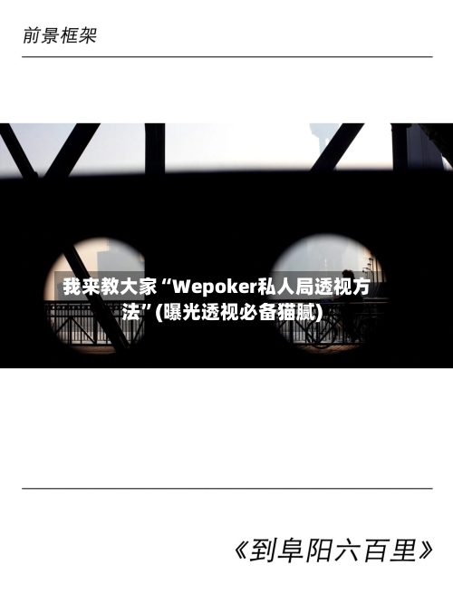 我来教大家“Wepoker私人局透视方法”(曝光透视必备猫腻)-第1张图片