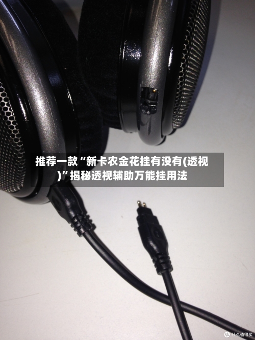 推荐一款“新卡农金花挂有没有(透视)”揭秘透视辅助万能挂用法-第1张图片