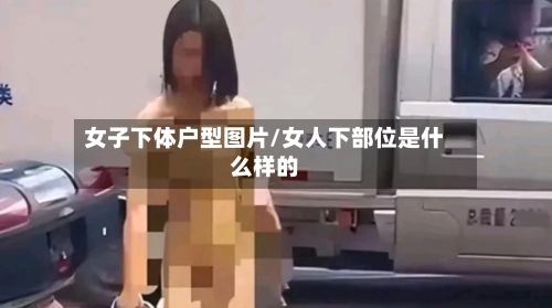 女子下体户型图片/女人下部位是什么样的-第1张图片