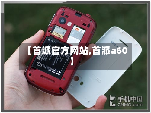 【首派官方网站,首派a60】-第1张图片