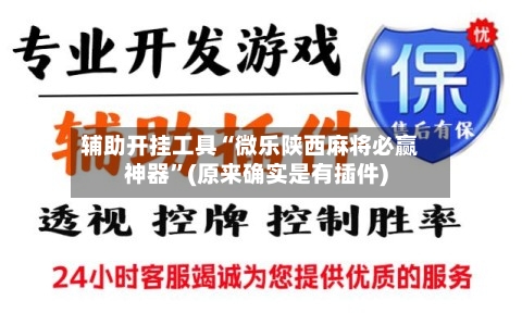 辅助开挂工具“微乐陕西麻将必赢神器	”(原来确实是有插件)-第1张图片
