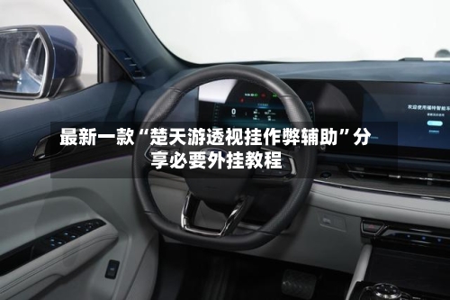 最新一款“楚天游透视挂作弊辅助”分享必要外挂教程-第1张图片