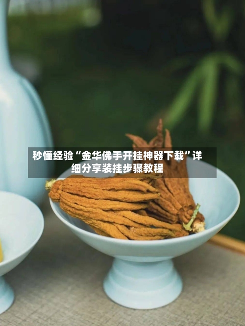 秒懂经验“金华佛手开挂神器下载	”详细分享装挂步骤教程-第1张图片