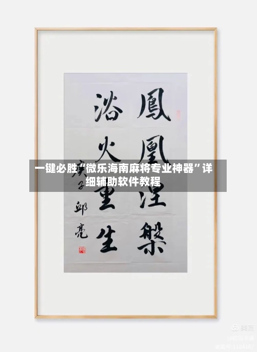 一键必胜“微乐海南麻将专业神器	”详细辅助软件教程-第1张图片