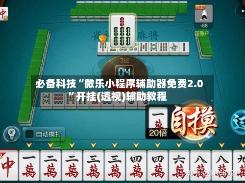 必备科技“微乐小程序辅助器免费2.0”开挂(透视)辅助教程-第1张图片