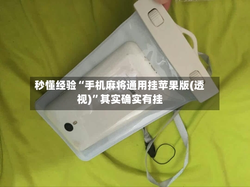 秒懂经验“手机麻将通用挂苹果版(透视)”其实确实有挂-第1张图片