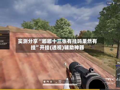 实测分享“嘟嘟十三张有挂吗果然有挂”开挂(透视)辅助神器-第1张图片