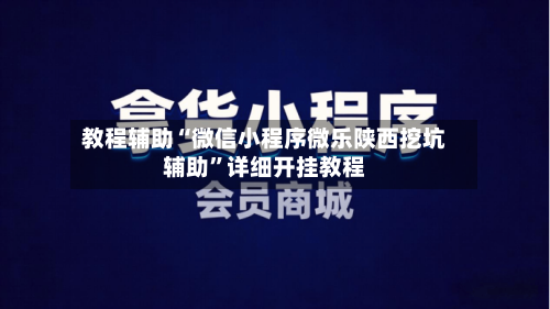教程辅助“微信小程序微乐陕西挖坑辅助”详细开挂教程-第1张图片