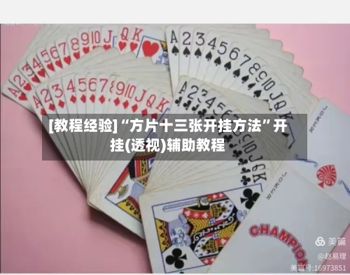 [教程经验]“方片十三张开挂方法”开挂(透视)辅助教程-第1张图片