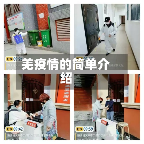 羌疫情的简单介绍-第1张图片