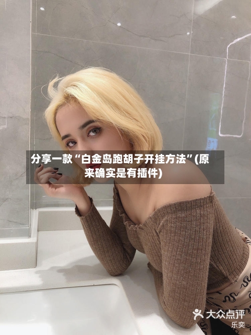分享一款“白金岛跑胡子开挂方法”(原来确实是有插件)-第1张图片