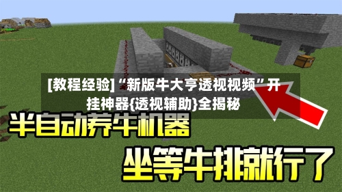 [教程经验]“新版牛大亨透视视频	”开挂神器{透视辅助}全揭秘-第1张图片