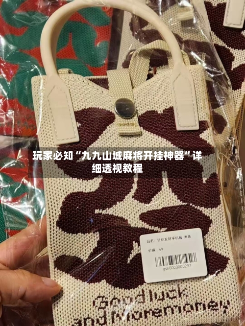 玩家必知“九九山城麻将开挂神器”详细透视教程-第1张图片