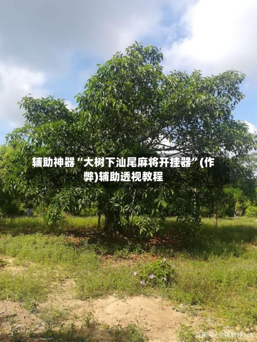 辅助神器“大树下汕尾麻将开挂器”(作弊)辅助透视教程-第1张图片