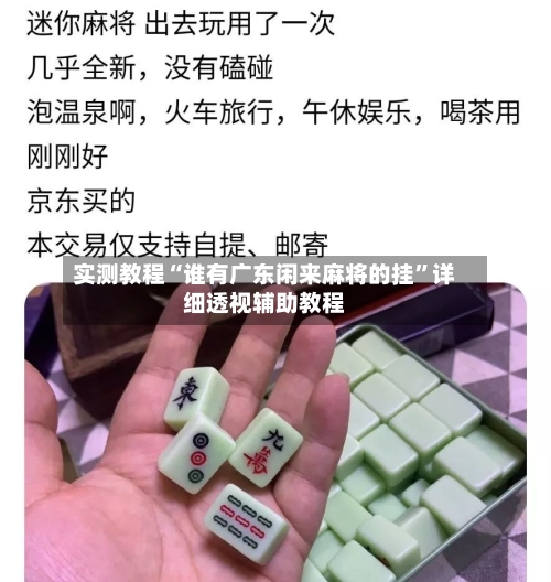 实测教程“谁有广东闲来麻将的挂”详细透视辅助教程-第1张图片