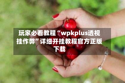 玩家必看教程“wpkplus透视挂作弊	”详细开挂教程官方正版下载-第1张图片