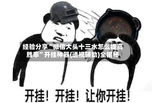 经验分享“微信大头十三水怎么提高胜率”开挂神器{透视辅助}全揭秘-第1张图片