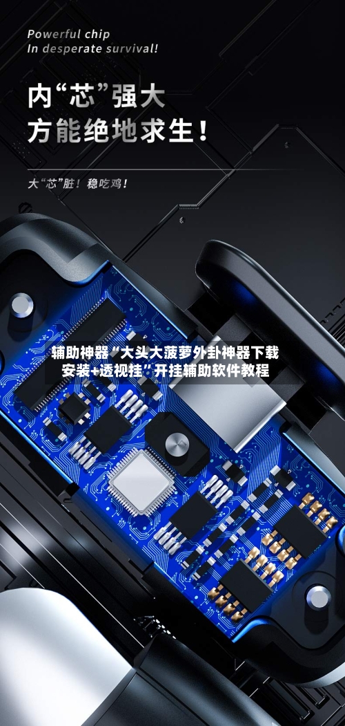 辅助神器“大头大菠萝外卦神器下载安装+透视挂”开挂辅助软件教程-第1张图片