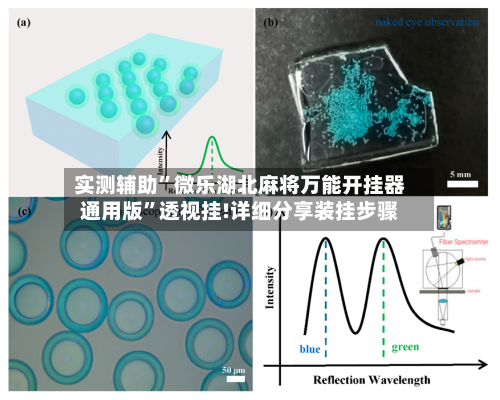 实测辅助”微乐湖北麻将万能开挂器通用版	”透视挂!详细分享装挂步骤-第1张图片