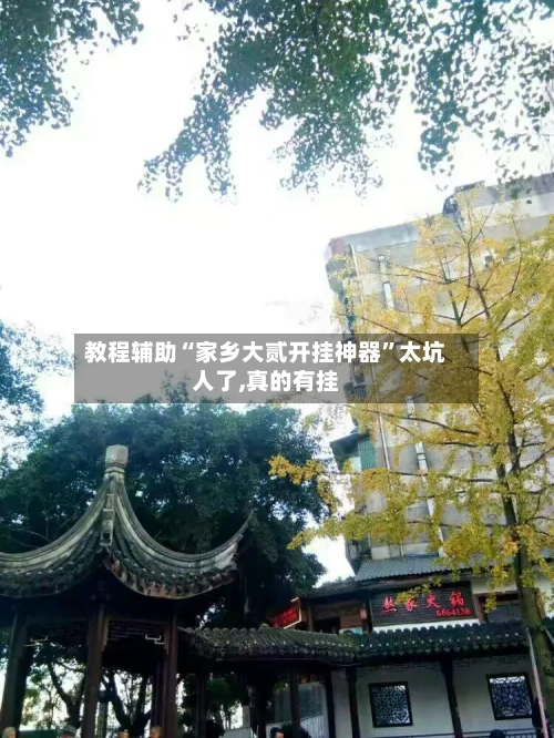 教程辅助“家乡大贰开挂神器	”太坑人了,真的有挂-第1张图片