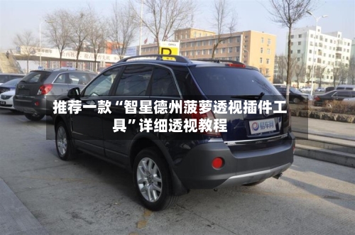 推荐一款“智星德州菠萝透视插件工具”详细透视教程-第1张图片
